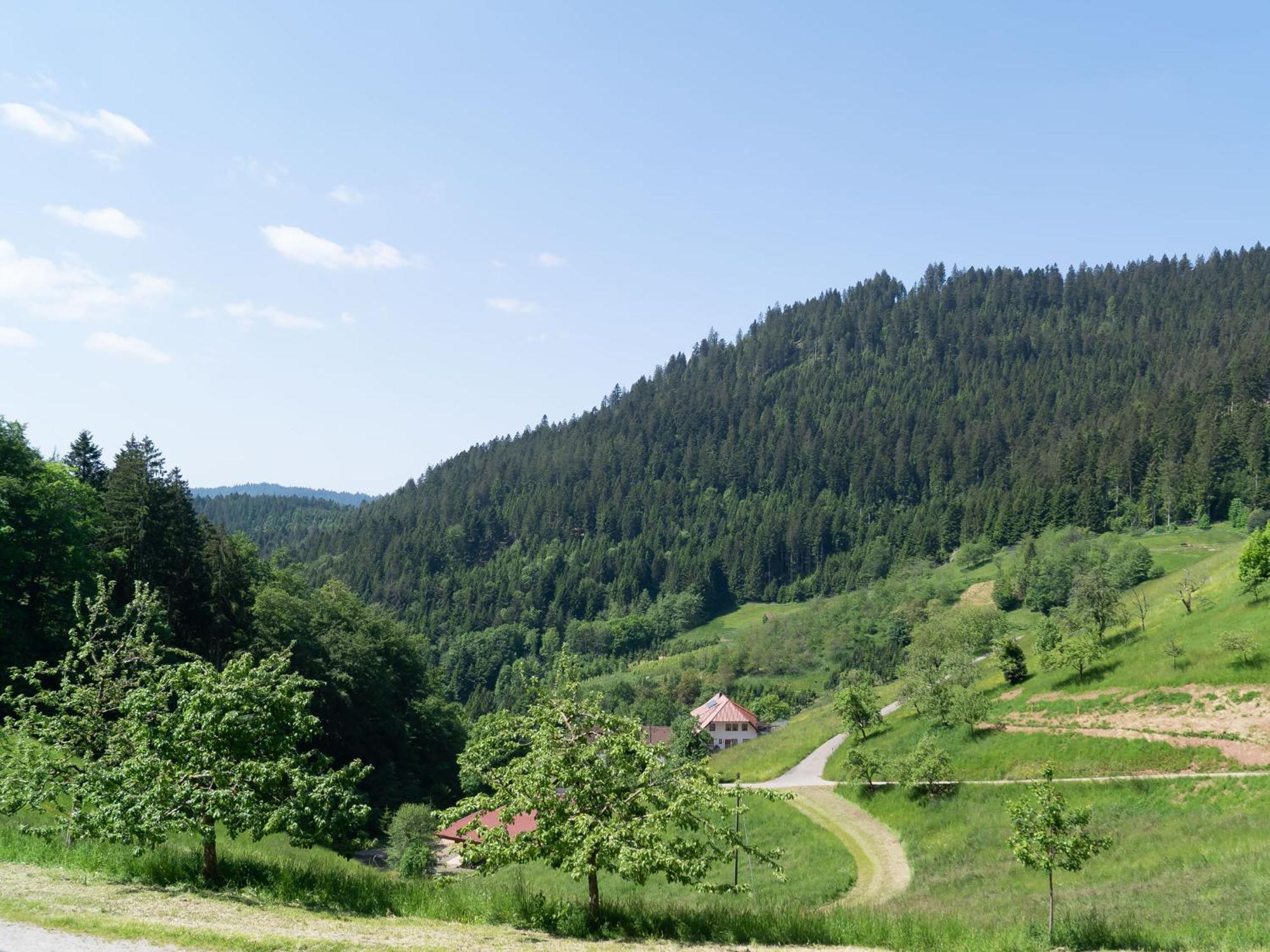 Апартаменты Holderstanzenhof Бад-Петерсталь-Грисбах Экстерьер фото